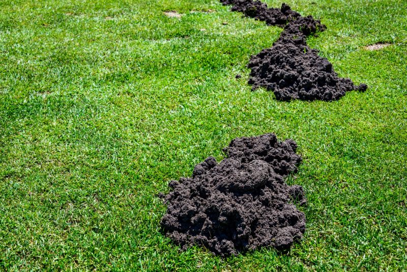 Mound Installation Service