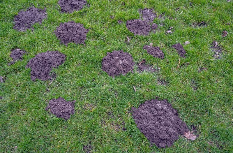 Mound Installation